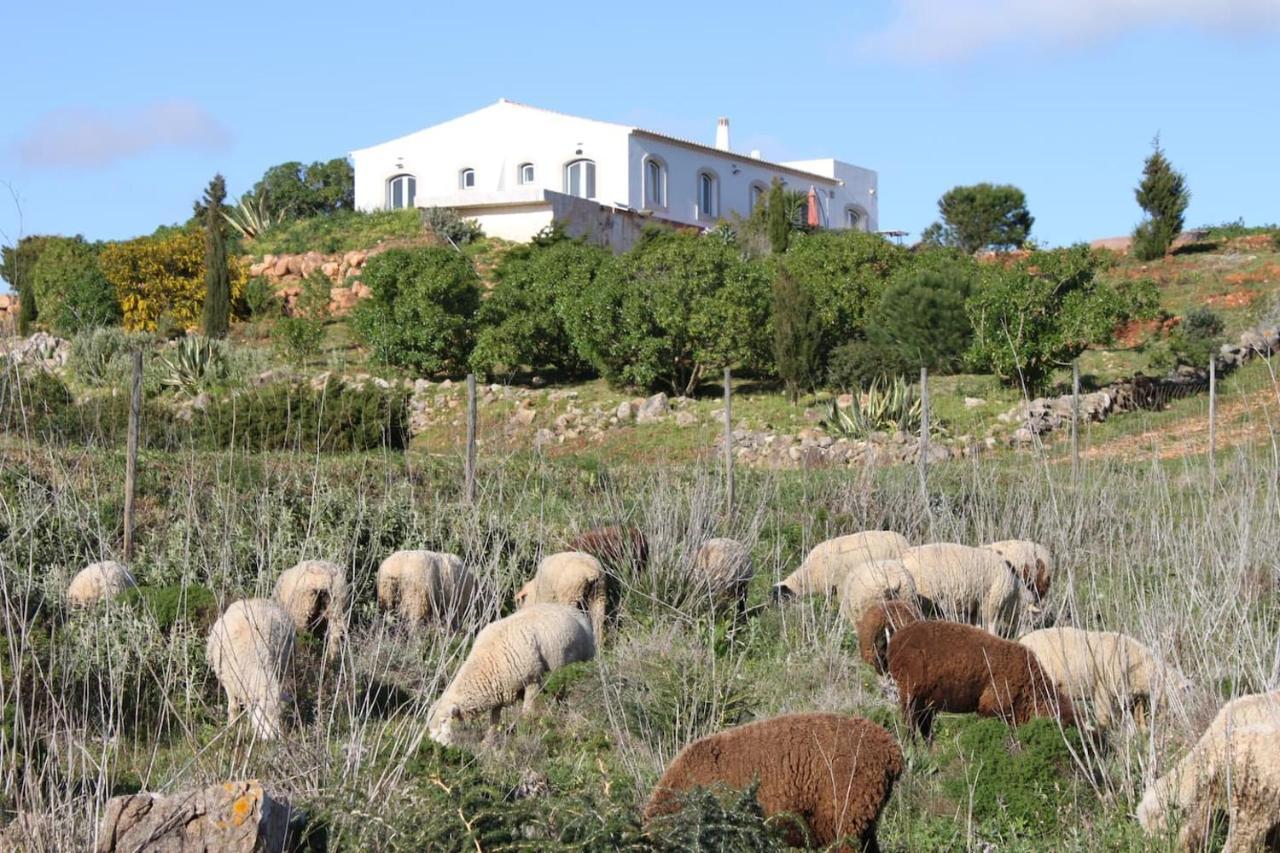 Casa Das Furnas - Eco Home Vila do Bispo Kültér fotó